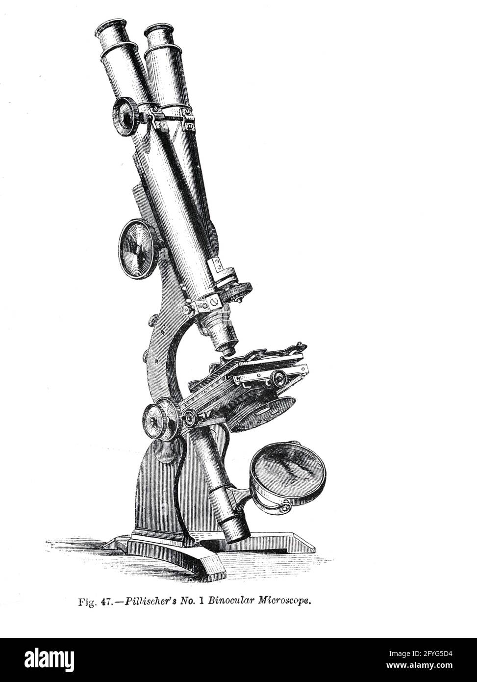 Fig. 47, Pillischer's No. 1 Binocular Microscope From the book '  The microscope : its history, construction, and application ' by Hogg, Jabez, 1817-1899 Published in London by G. Routledge in 1869 with Illustrations by TUFFEN WEST Stock Photo