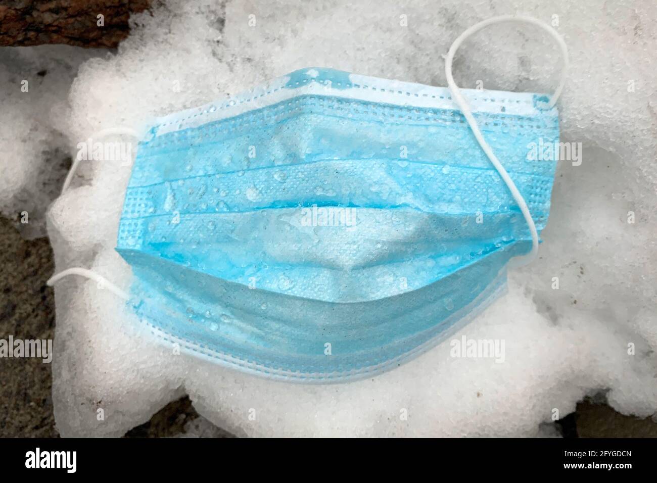 A discarded disposable mask is pictured on snow in Kingston, Ontario on Monday, January 11, 2021, as the COVID-19 pandemic continues across Canada and Stock Photo