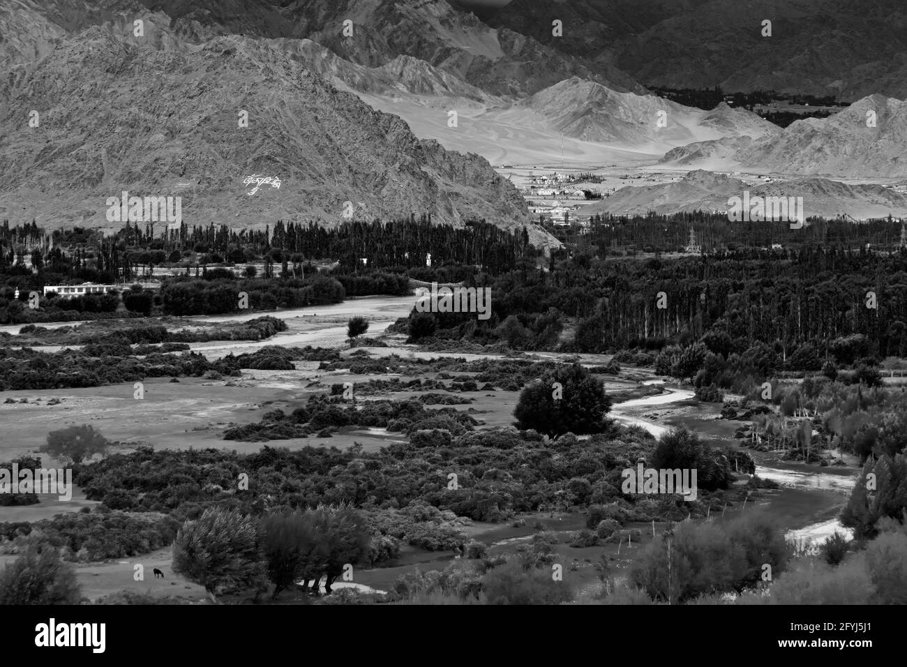Rocky landscape of Kargil with himalayan mountains in background , green valley , Ladakh, Jammu and Kashmir, India. Black and white image. Stock Photo
