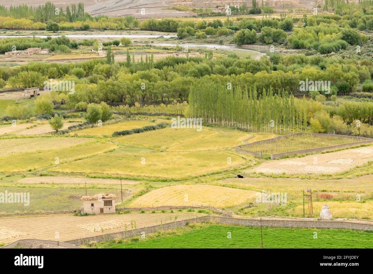 Aerial view of agricultural land of Leh, Ladakh, Jammu and Kashmir, India Stock Photo Alamy