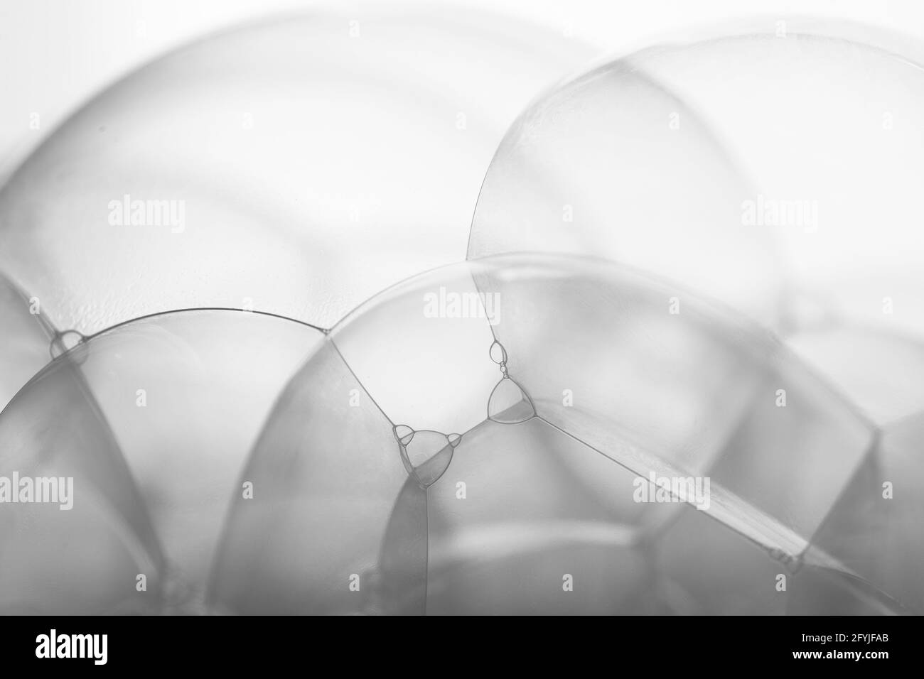 Many soap bubbles piled on white background in details Stock Photo