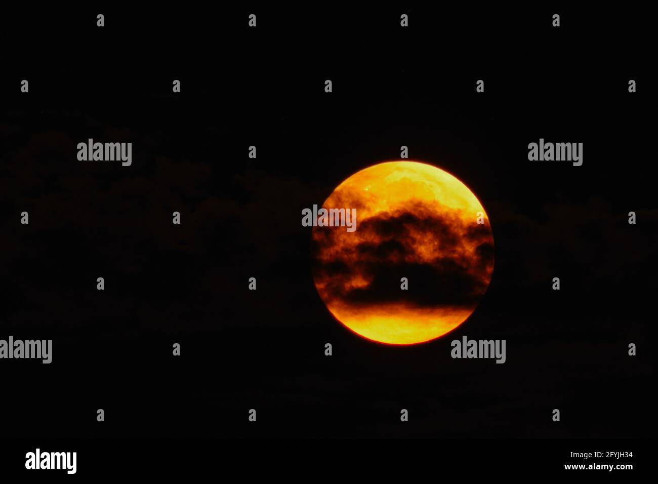 Full moon flower hires stock photography and images Alamy