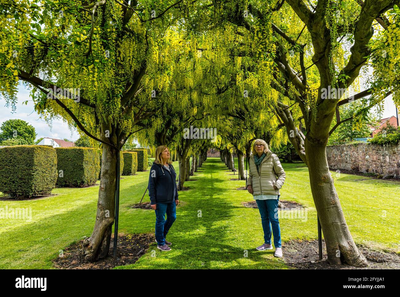 Preston Tower, Prestonpans, East Lothian, Scotland, United Kingdom