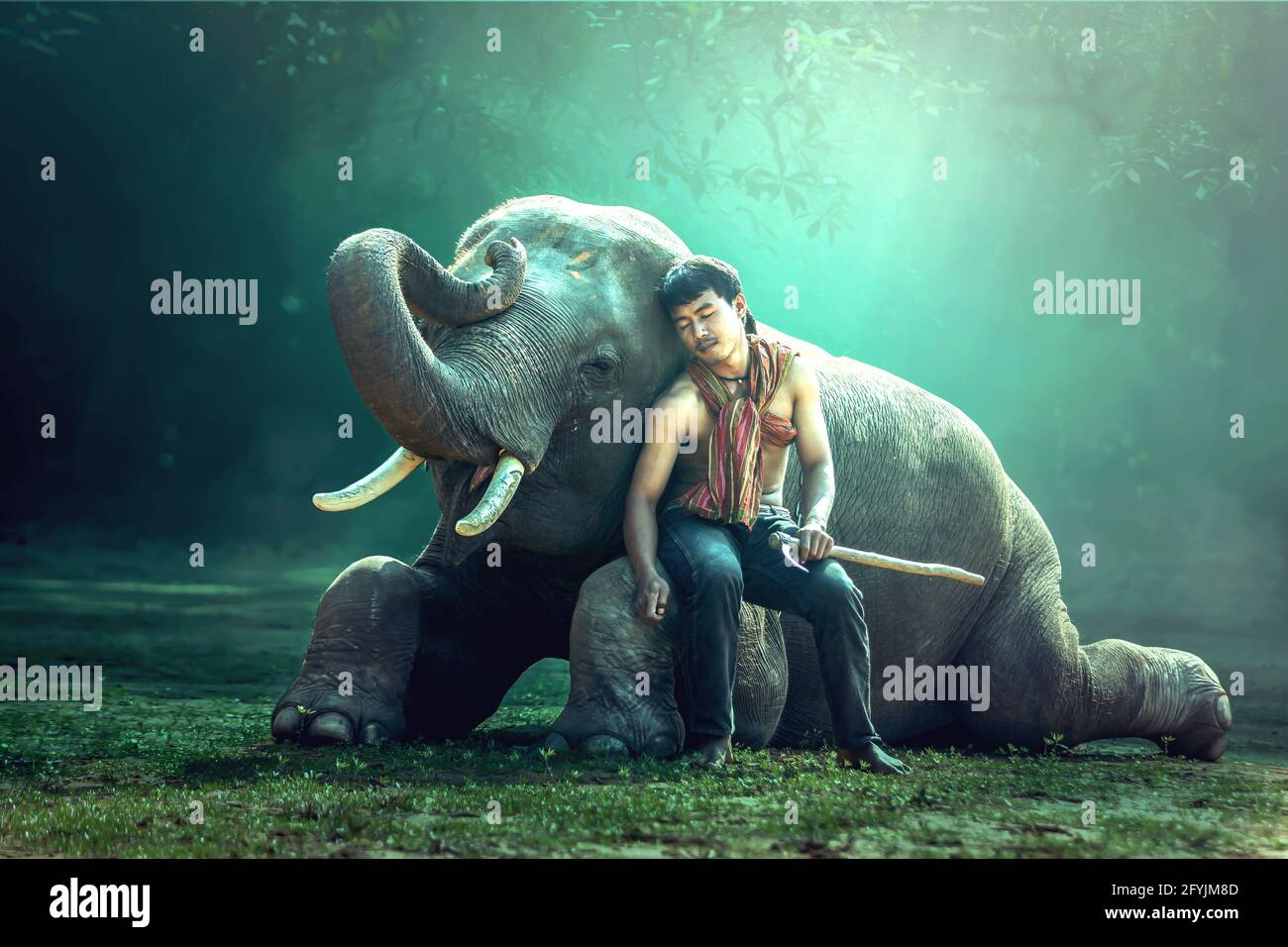Mahout sitting on an elephants knee sleeping, Thailand Stock Photo