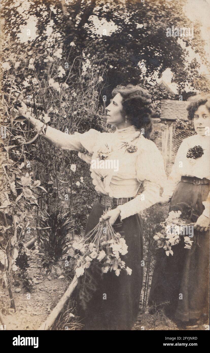 Vintage early 20th century photographic postcard showing two ladies in their garden picking flowers. Stock Photo