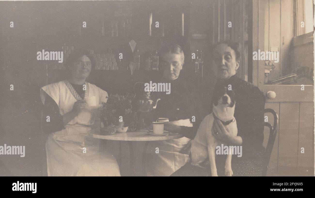 Vintage early 20th century photographic postcard showing three ladies having Tea. Pet dog on one of the Ladies laps. Stock Photo