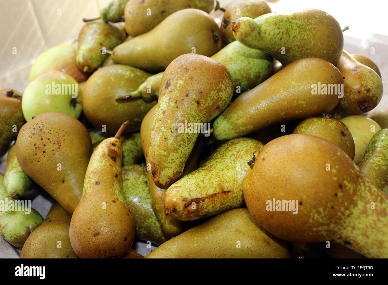 A pile of homegrown pears Stock Photo