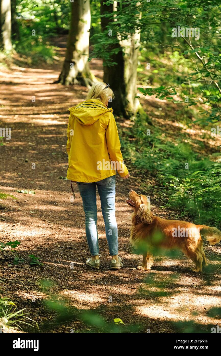 Woman in a yellow coat walking and playing with her cocker spaniel dog