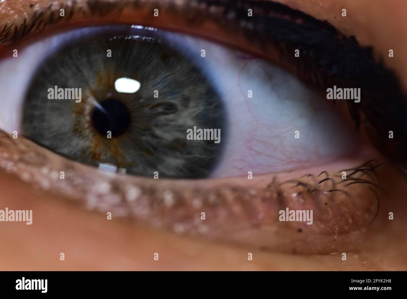 Scared eye hires stock photography and images Alamy