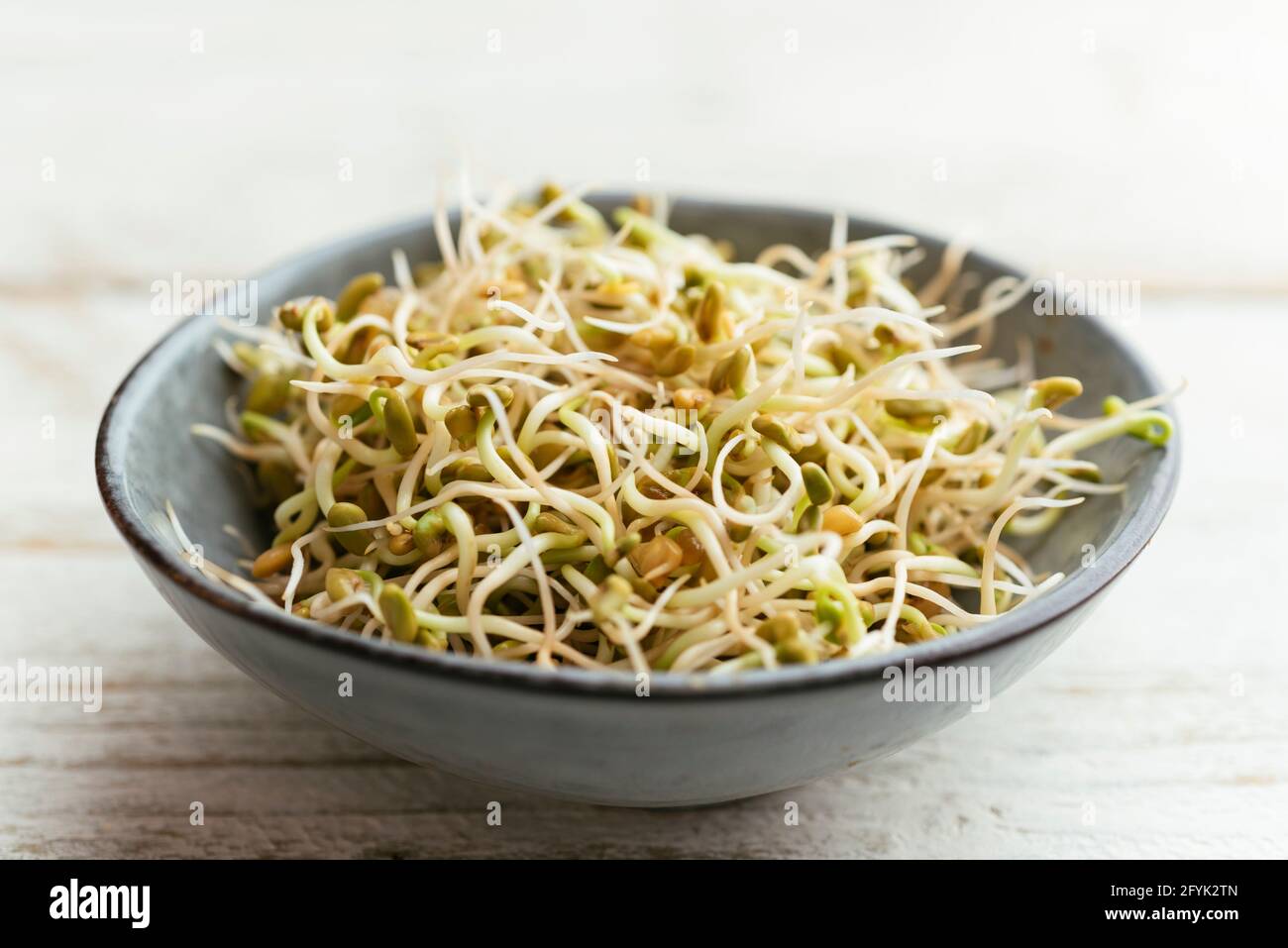 Fresh Fenugreek sprouts in a bowl. Stock Photo