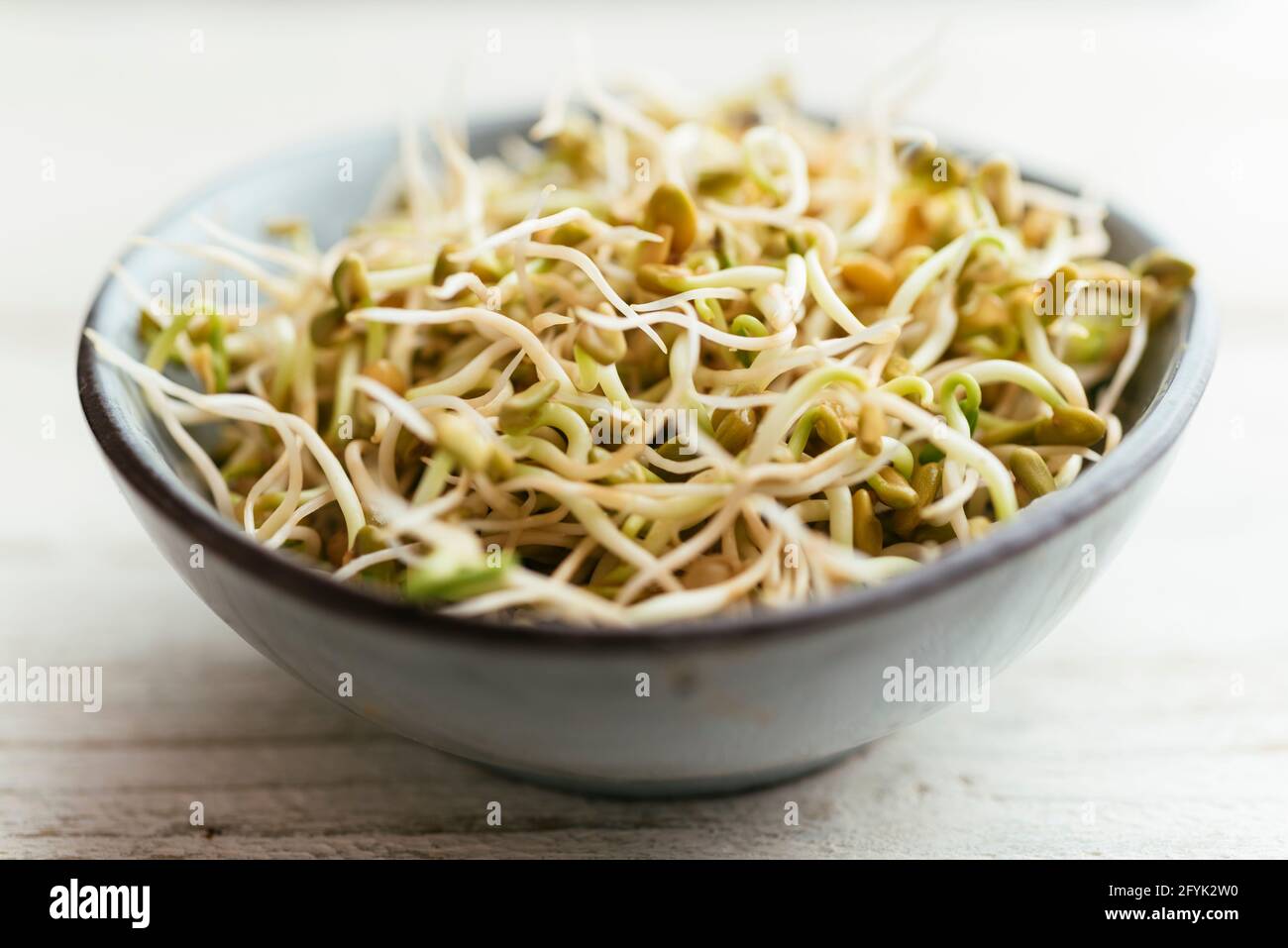 Fresh Fenugreek sprouts in a bowl. Stock Photo