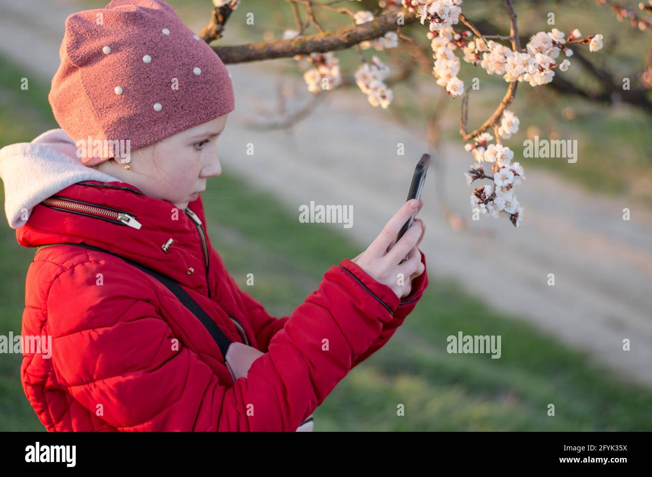 a-10-year-old-girl-photographs-an-apricot-tree-in-bloom-teenage-girl