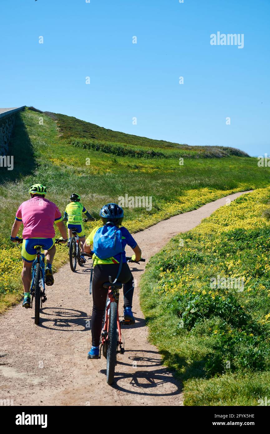 MAY 5, 2018 - La Coruña, Galicia, Spain: Three cyclists riding their bikes on the road next to the Hercules of Tower, surrounded by green grass and fl Stock Photo