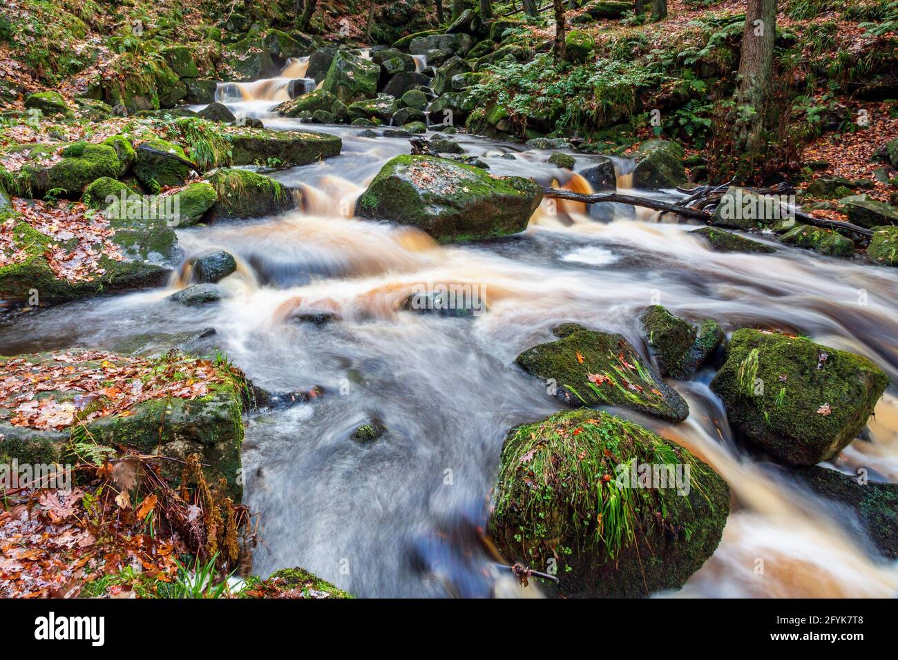 Autumn at one of the many waterfalls on Burbage Brook in the wonderful Padley Gorge, Peak District National Park, Derbyshire. Stock Photo