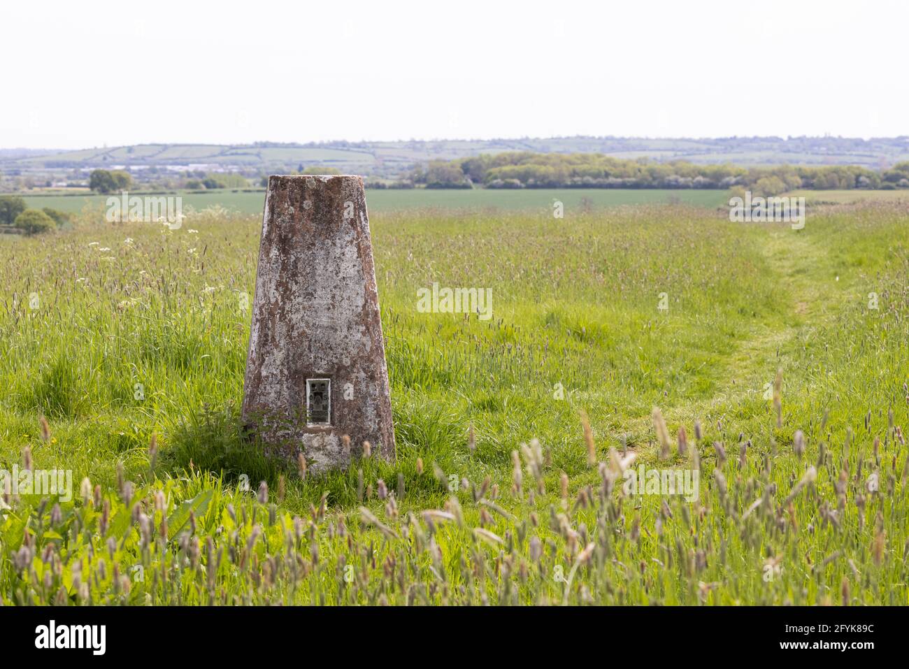 Draycote, Warwickshire, UK - May 28th 2021: A concrete Ordnance Survey triangulation point stands amidst long grasses on the top of Hensborough Hill. Stock Photo