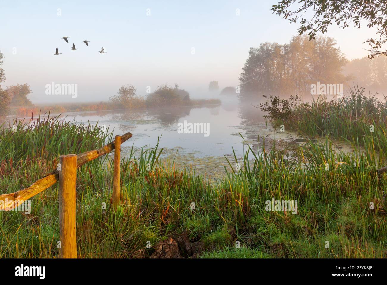 A misty start to the day at Cossington Lakes in Leicestershire. Stock Photo