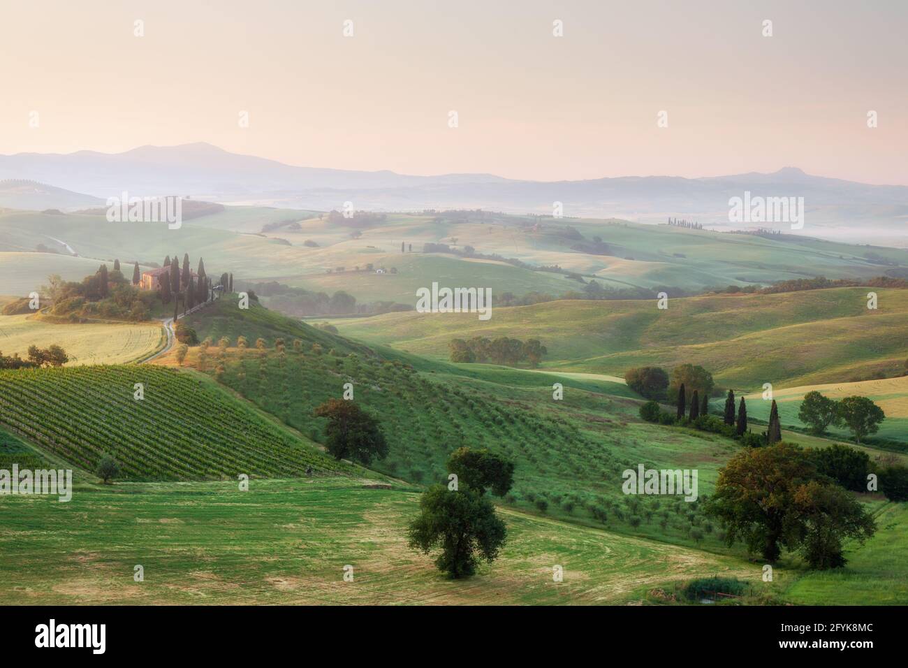 The iconic Belverdere farmhouse, bathed in early morning light, in the heart of Tuscany in the Val d'Orcia valley, Tuscany. Stock Photo