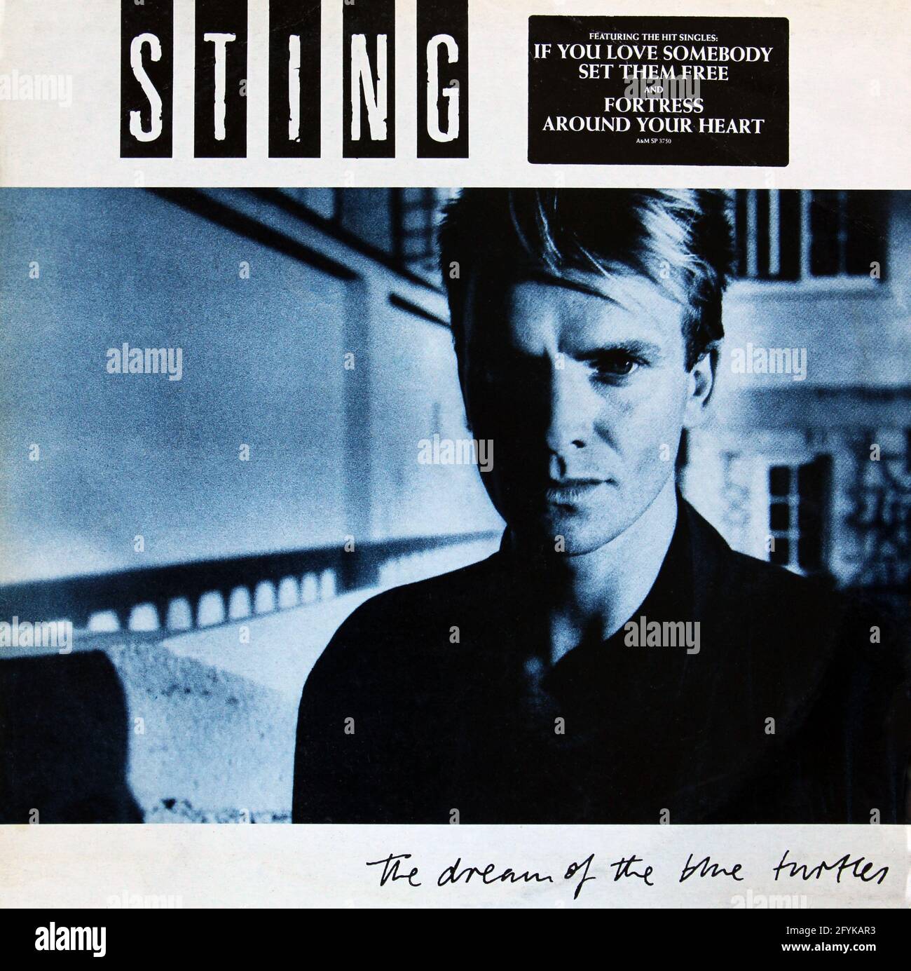sting the dream of the blue turtles