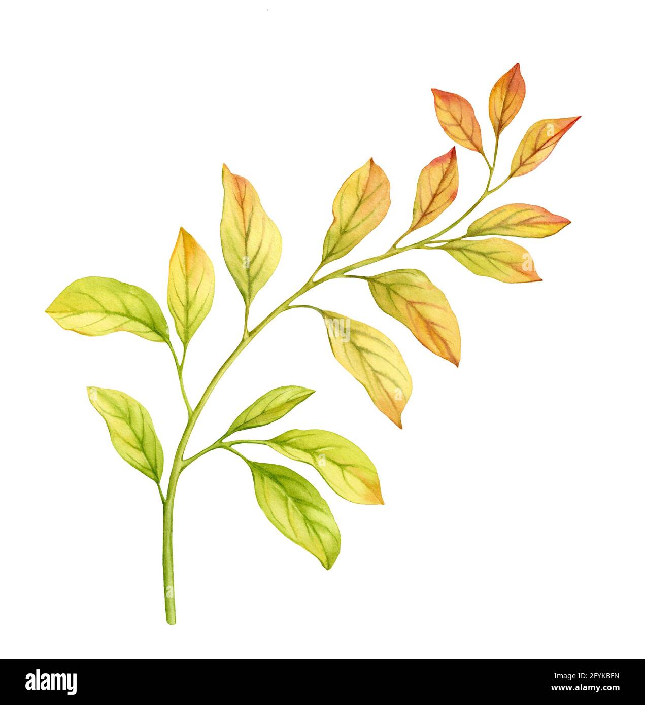 Gold painted leaves hi-res stock photography and images - Alamy