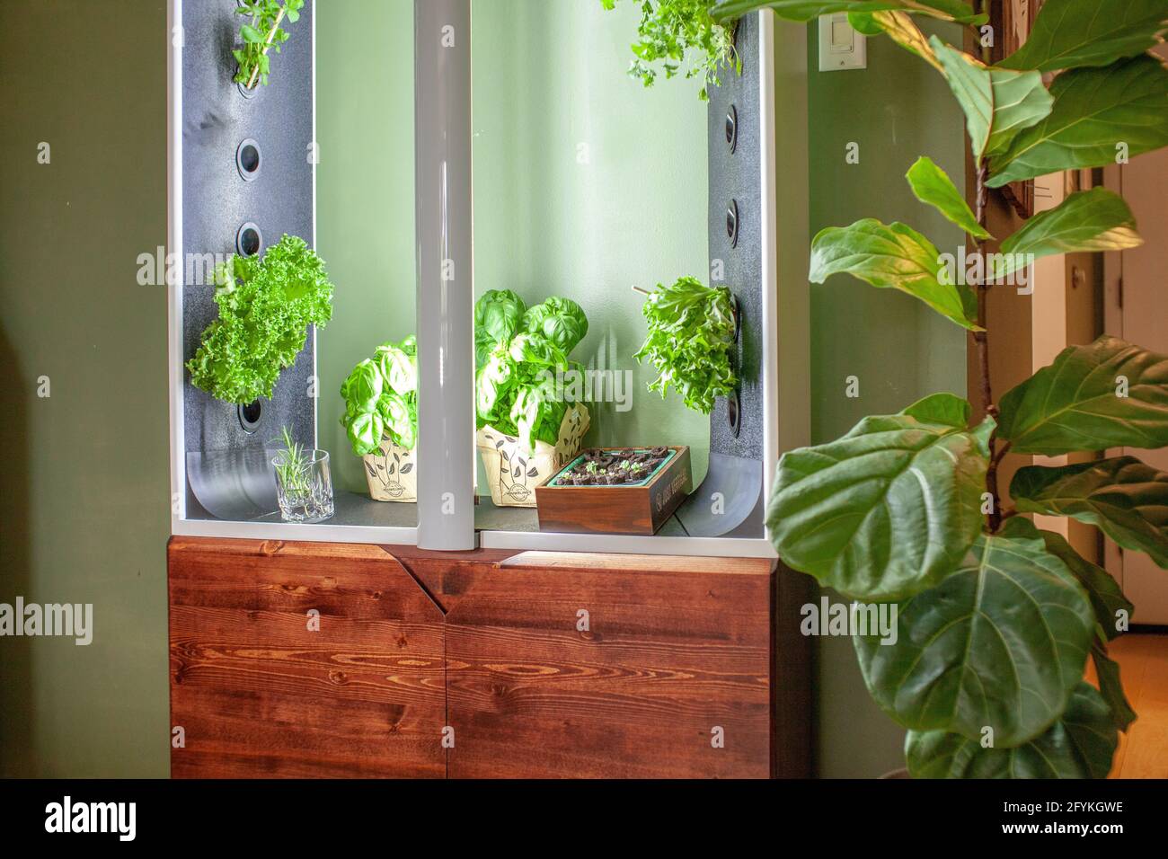potted plant liners Smart Pot NoCoco Liner main image 1