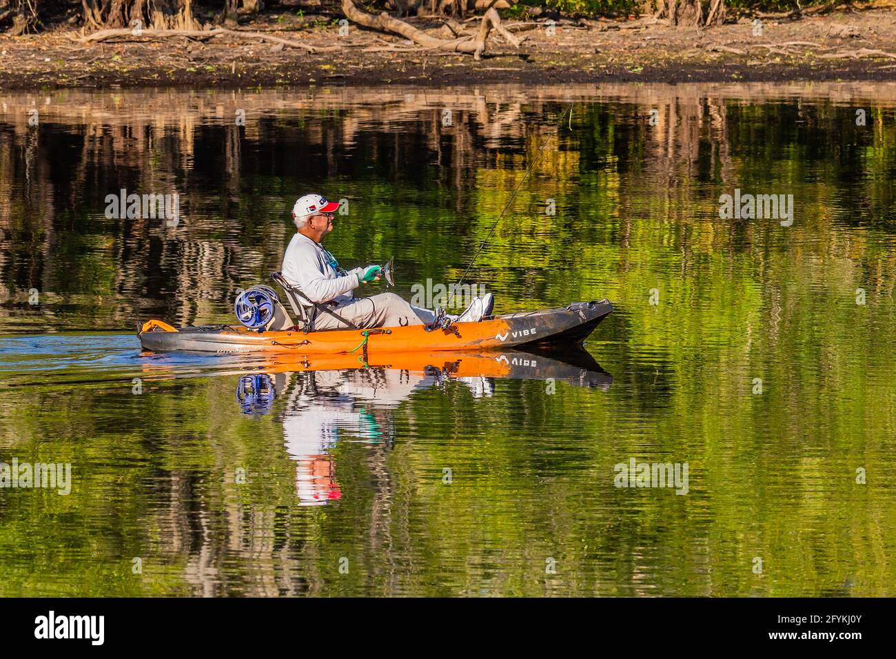 Mature male ina Vibe pro-angling fishing kayak. Can be powered or paddled. Lettuce Lake on the Hillsborough River, Tampa, Fl. Stock Photo
