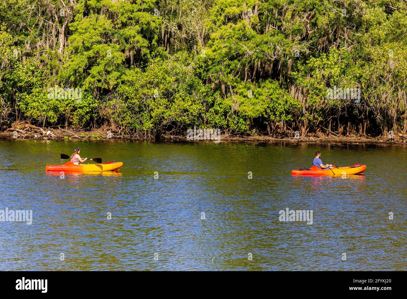 Couple kayaking on the Hillsborough River near Lettuce Lake County Park, Tampa, Fl. Stock Photo