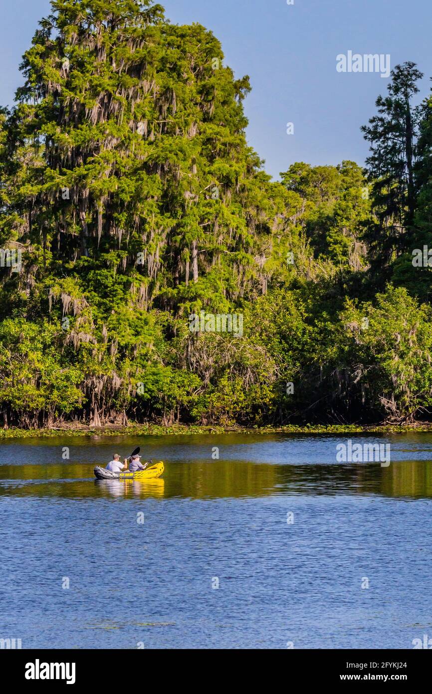 Couple kayaking on the Hillsborough River, Lettuce Lake, Tampa, Florida. Stock Photo