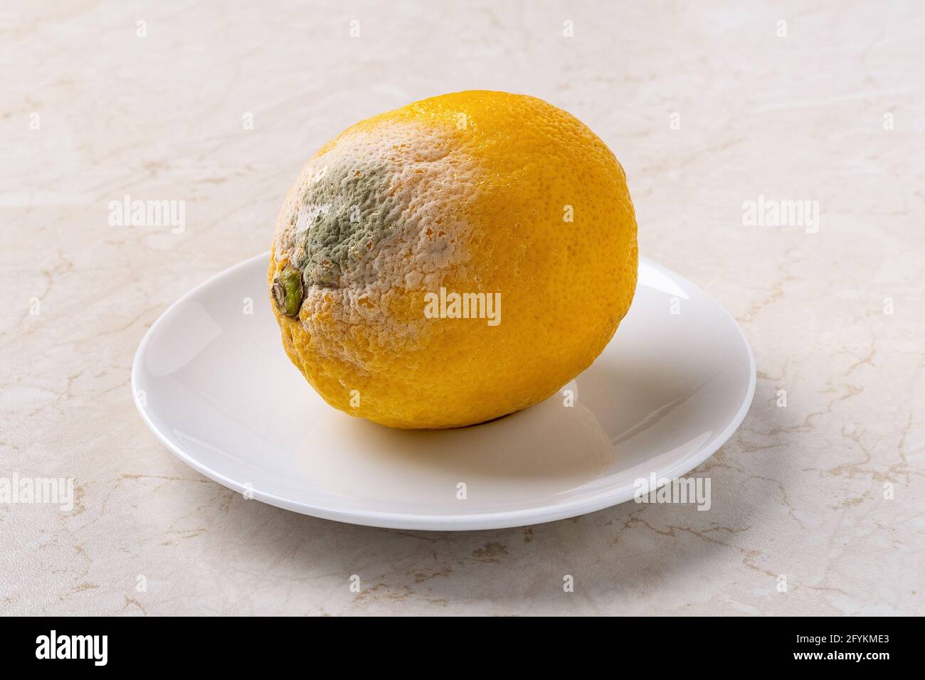 Spoiled lemon on a white saucer close-up. White green fungal mold on a rotten citrus close-up. Fruit spoiled due to storage for too long. Stock Photo