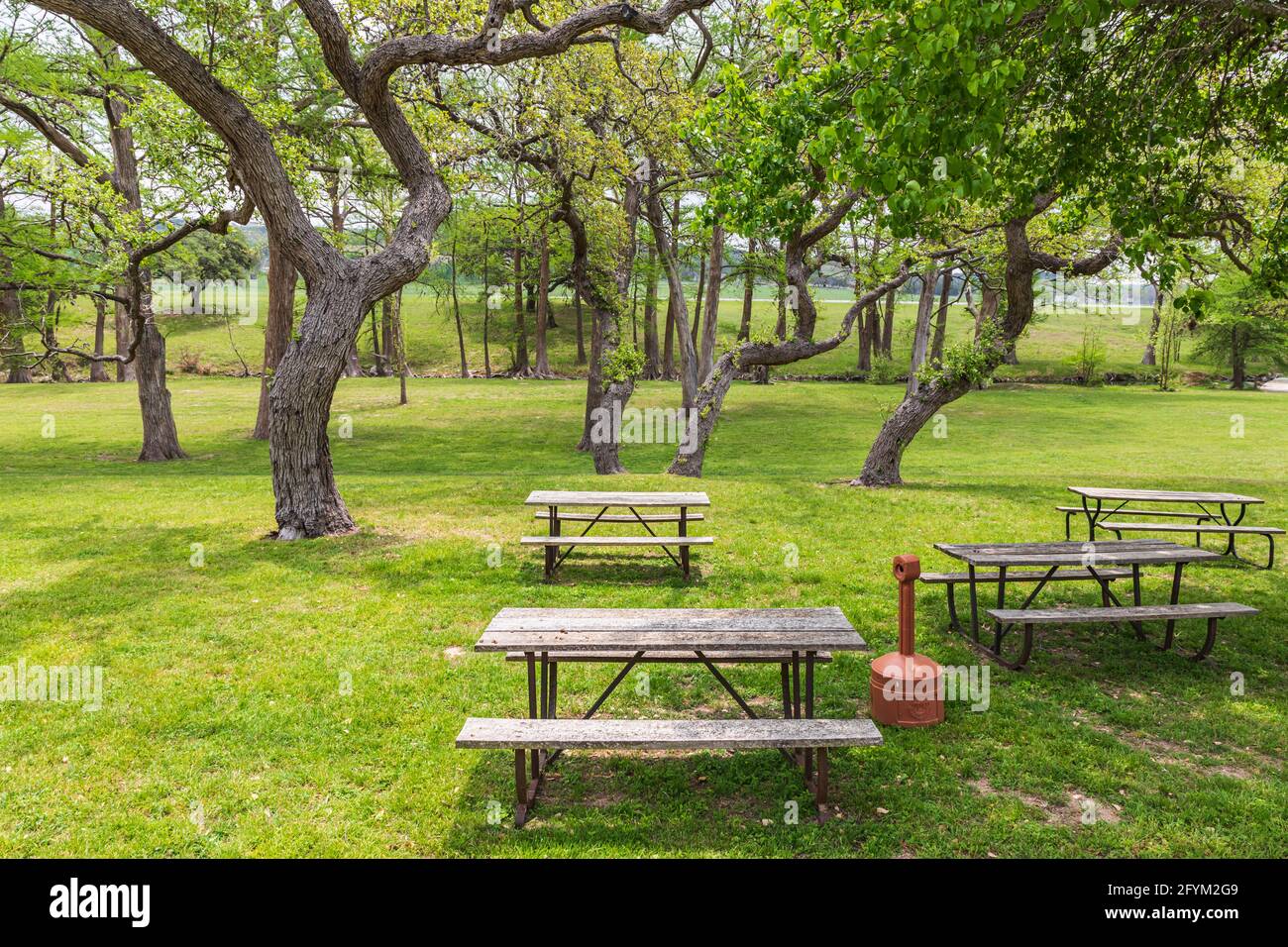 Center Point, Texas, USA. Picnic tables in a park in the Texas hill