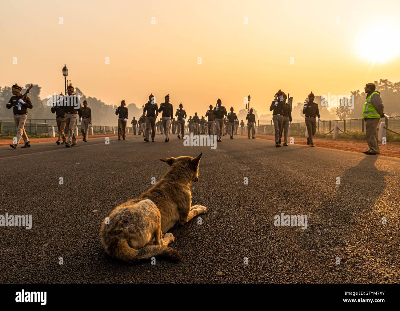 a dog is sitting on road and delhi police during their rehearsals for indian republic day in delhi. Stock Photo