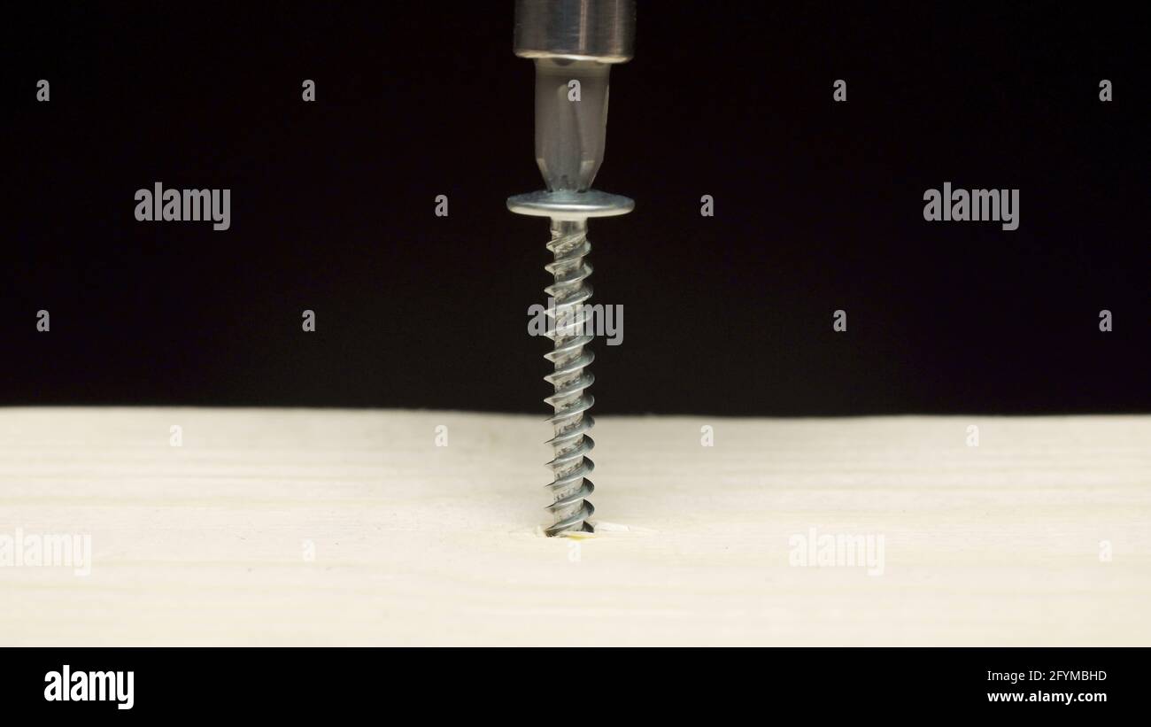 Photo of screwdriver drilling an tapping screw into wooden board Stock