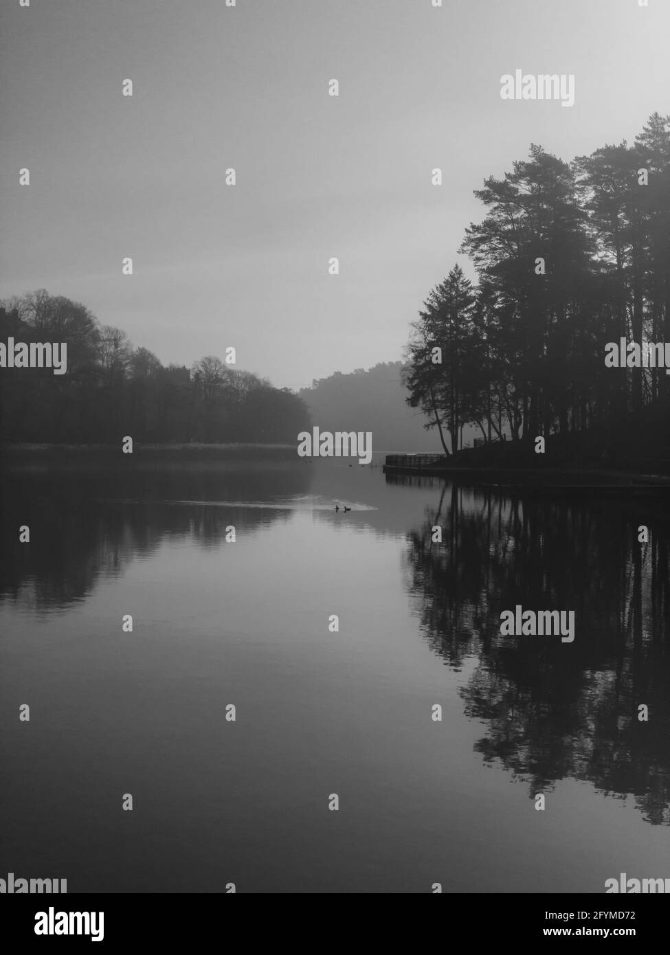Lake sunny day reflection Black and White Stock Photos & Images - Alamy