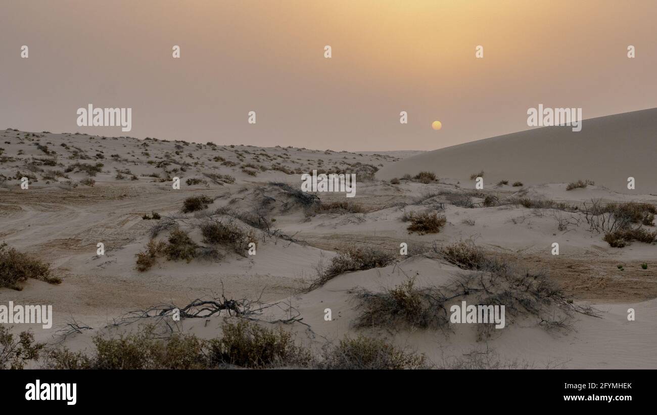 Qatar Desert High Resolution Stock Photography And Images Alamy Qatar Desert High Resolution Stock Photography And Images Alamy