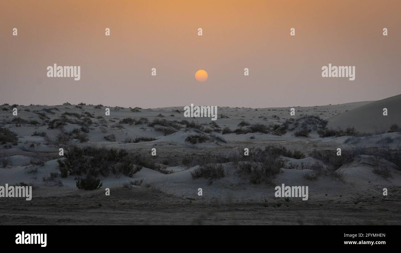 Desert with a river in middle of qatar