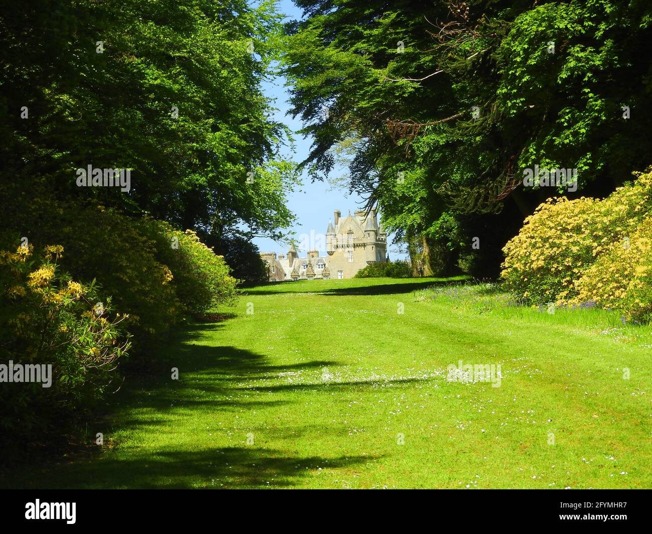 Castle Kennedy Gardens & Gardens, Dumfries & Galloway, Scotland in 2021 - A distant view of Inchcliff Castle from The Monkey Puzzle tree avenue Stock Photo