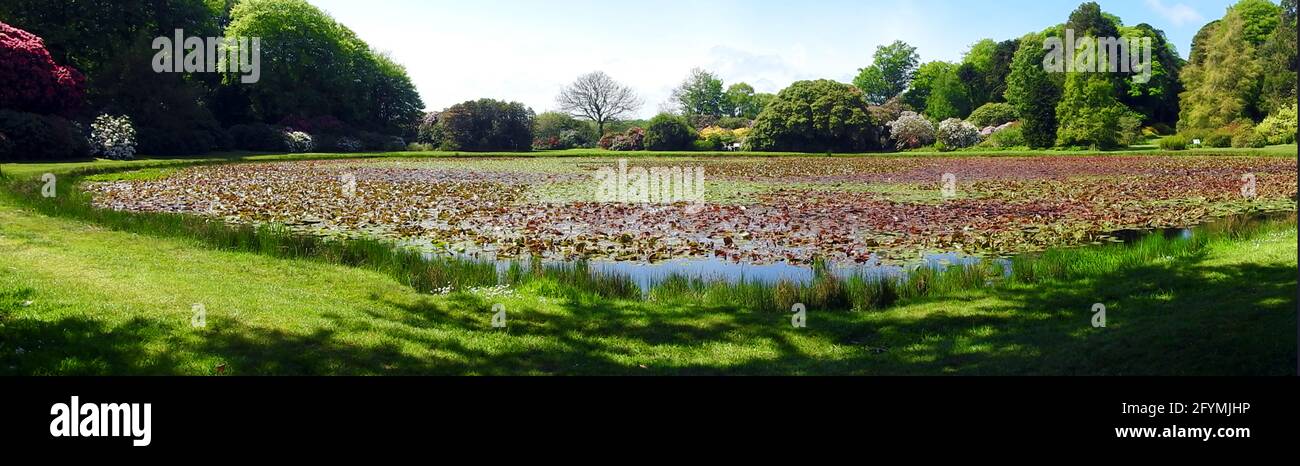 Castle Kennedy Gardens & Gardens, Dumfries & Galloway, Scotland in 2021 -  Panoramic view of he round pond and garden Stock Photo