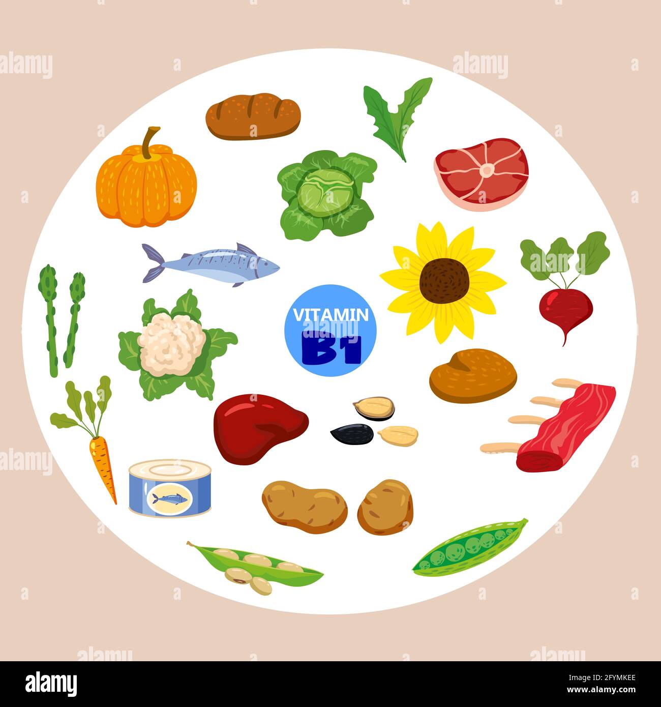 Nut meat Stock Vector Images Alamy