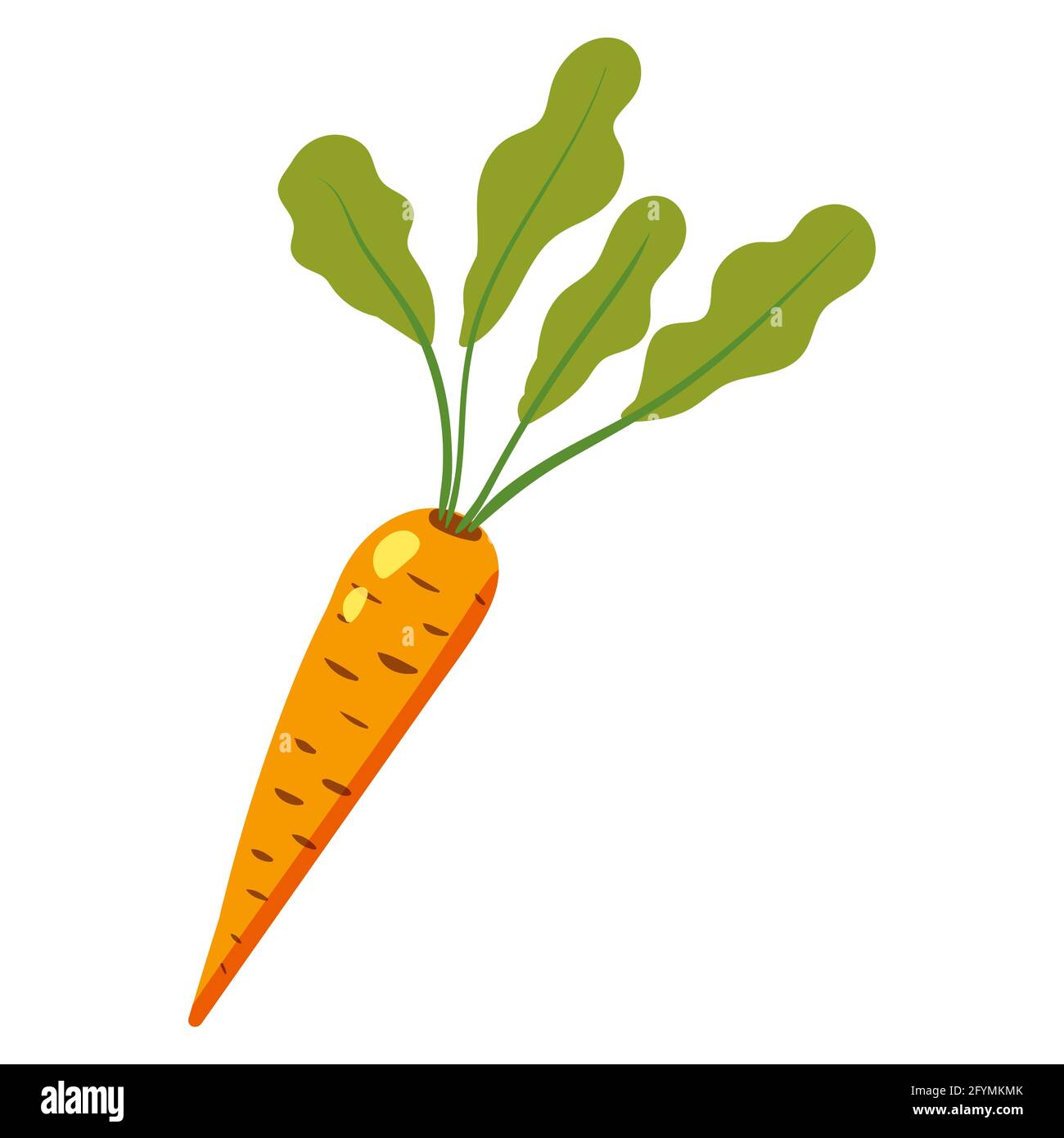 Carrot with green leaves, healthy nutrition organic product. Vector hand cartoon draw flat trendy style white background isolated Stock Vector Image & Art - Alamy Carrot with green leaves, healthy nutrition organic product. Vector hand cartoon draw flat trendy style white background isolated Stock Vector Image & Art - Alamy
