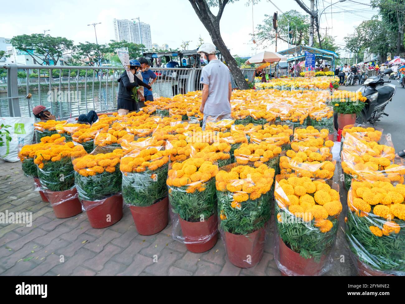 Bustle of buying flowers at flower market, locals buy flowers for decoration purpose the house on Lunar New Year in Ho Chi Minh City, Vietnam. Stock Photo