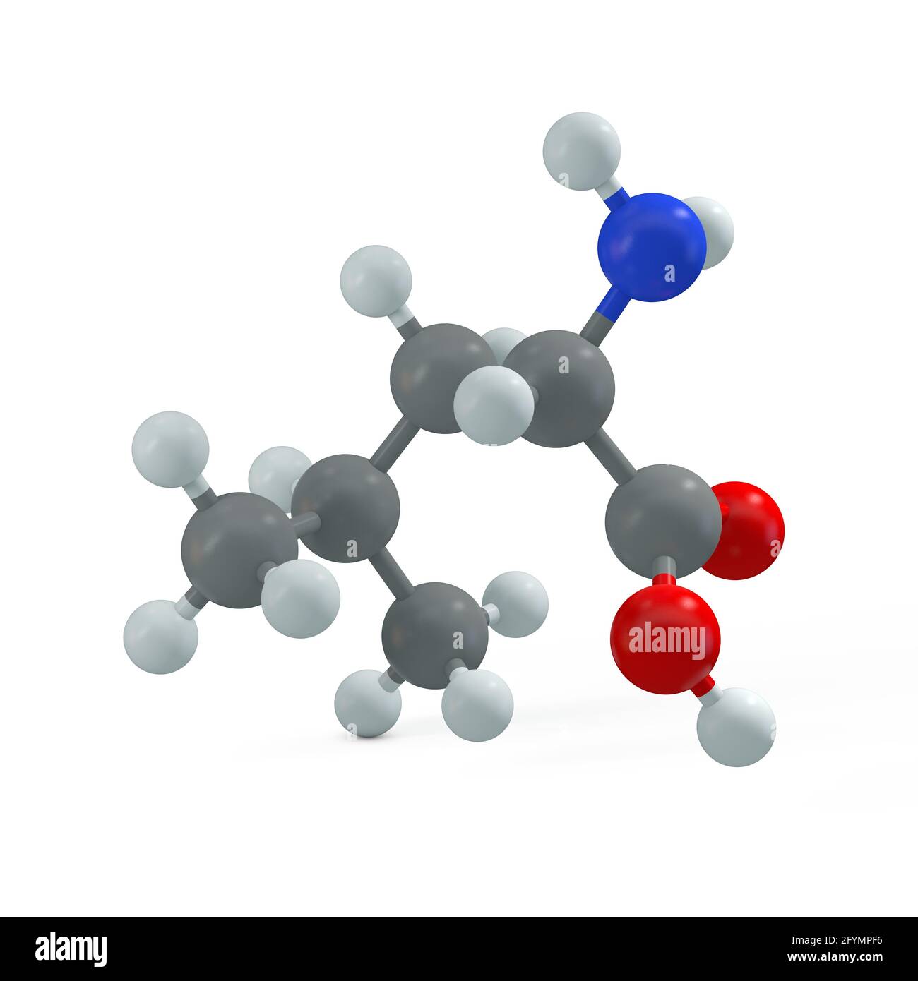 Leucine molecule, illustration Stock Photo