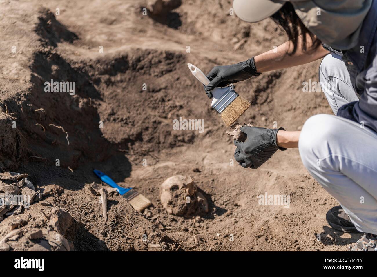 Archaeologist excavating skeleton Stock Photo