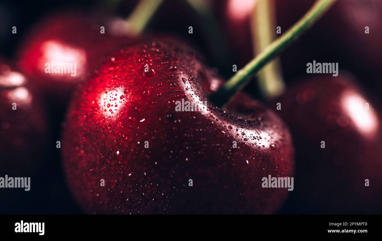 Potassium fibre hires stock photography and images Alamy