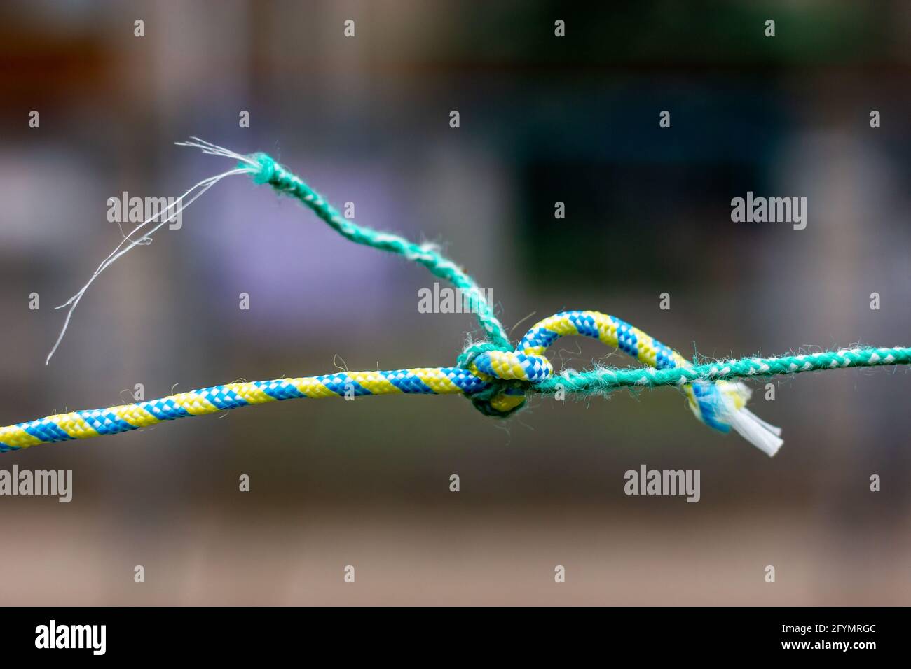 Knot on the clothesline. Knotted ropes. A knot on a rope Stock Photo - Alamy