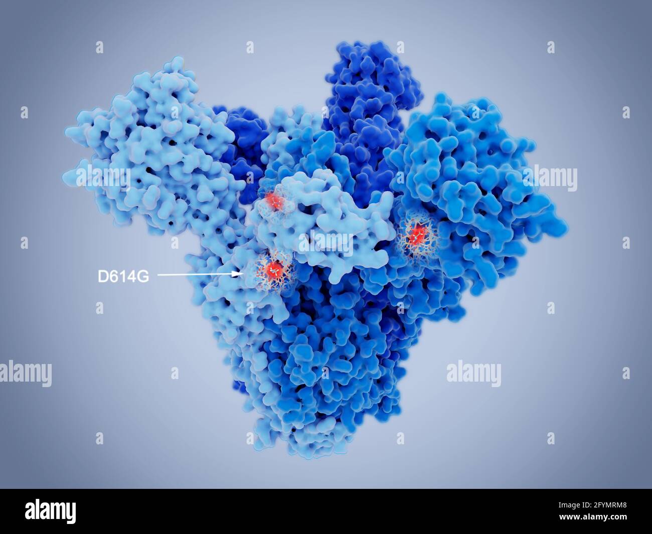 SARS-CoV-2 virus spike protein and mutation, illustration Stock Photo