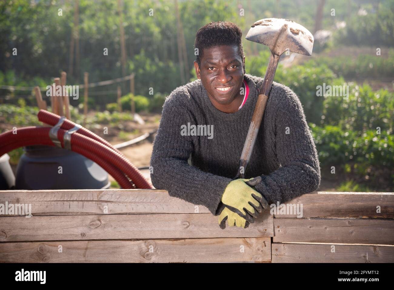 Portrait of an African american male gardener with a shovel at the ...