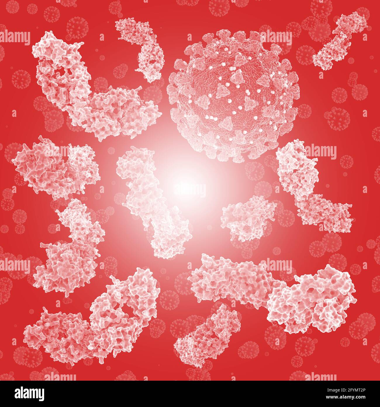 HIV antibodies complexed with peptides, illustration Stock Photo