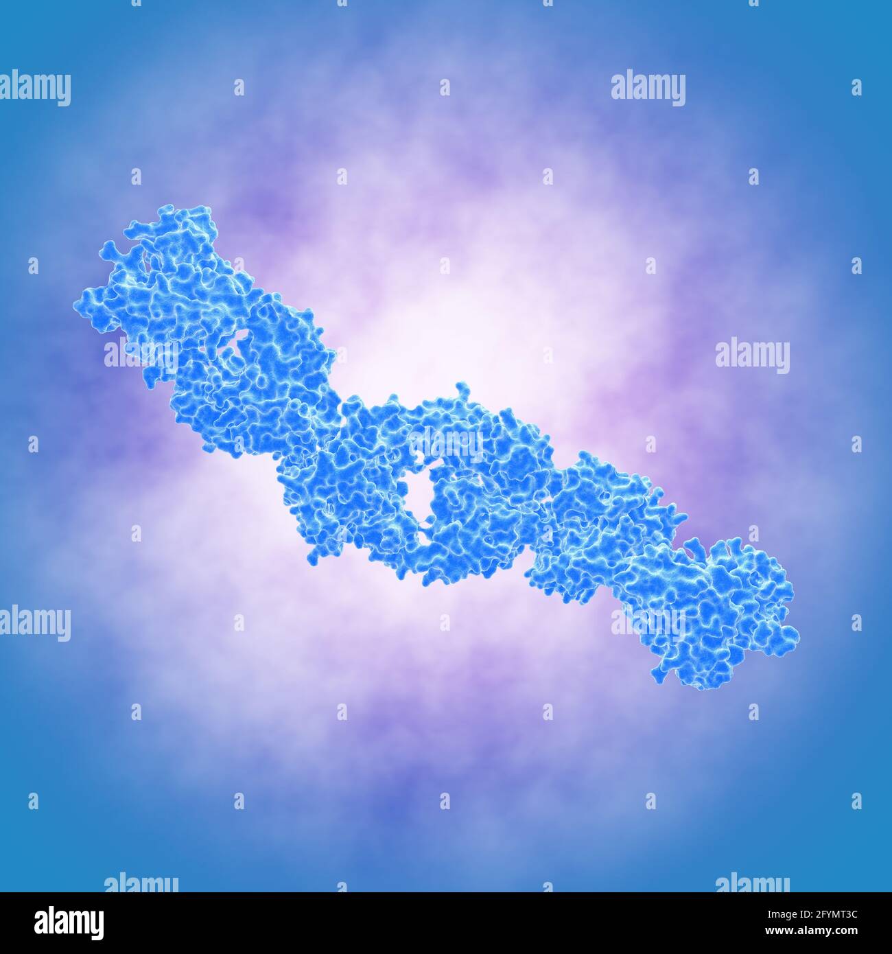 Cross reactive hires stock photography and images Alamy