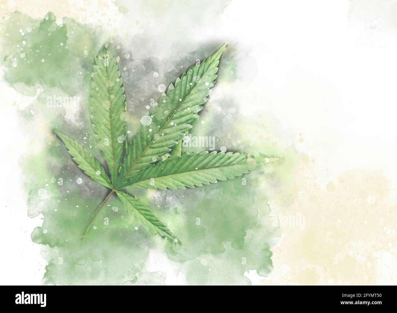 Cannabis leaf, illustration Stock Photo