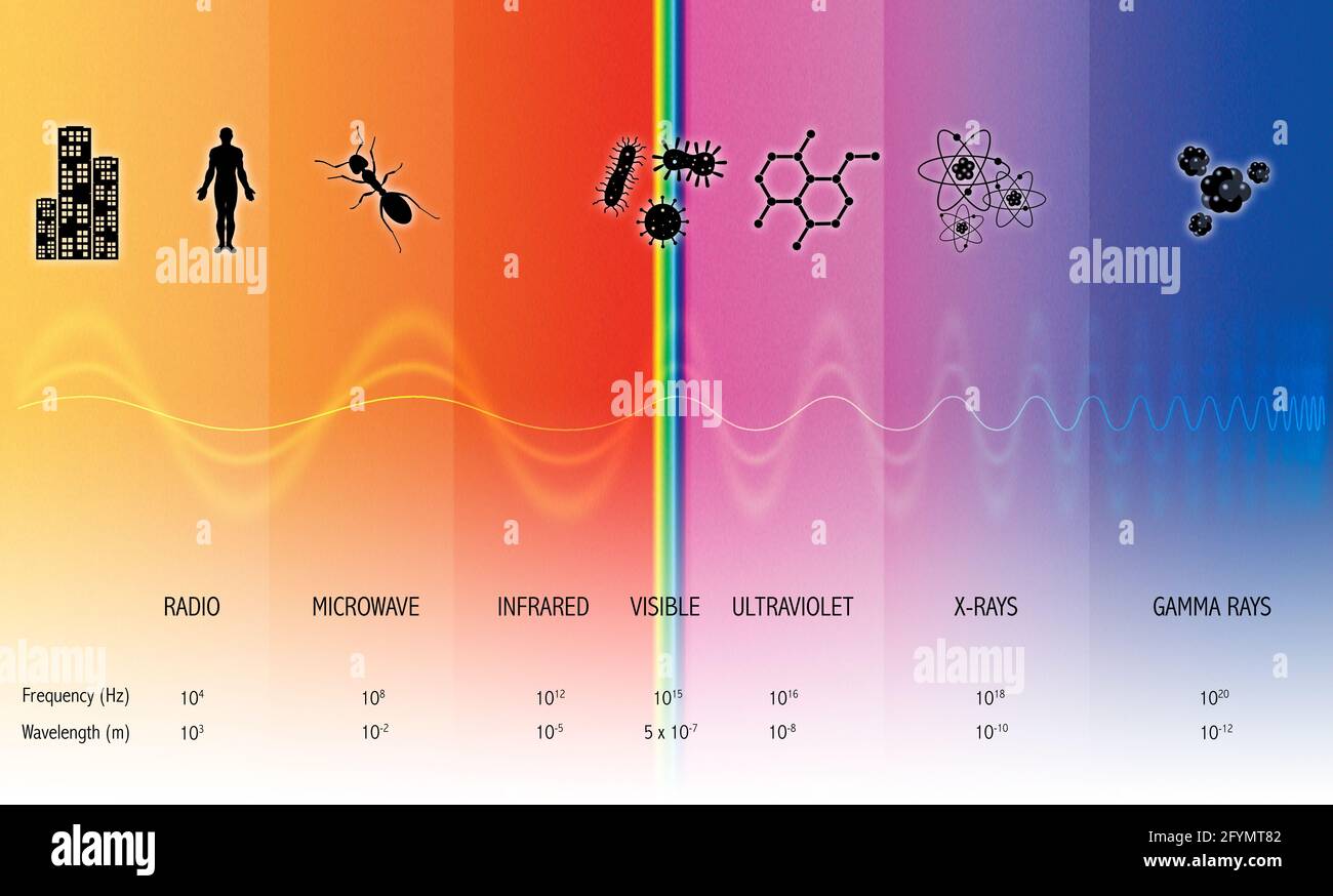 Electromagnetic spectrum, illustration Stock Photo