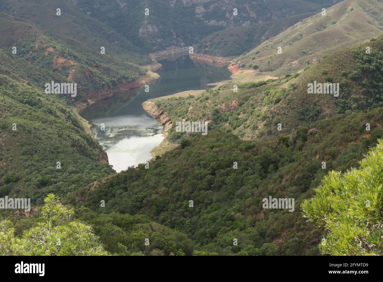 Park kariega hi-res stock photography and images - Alamy